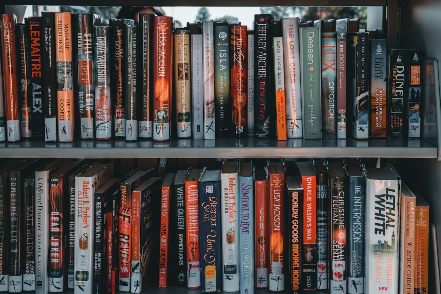 Two shelves filled with neatly organized books.